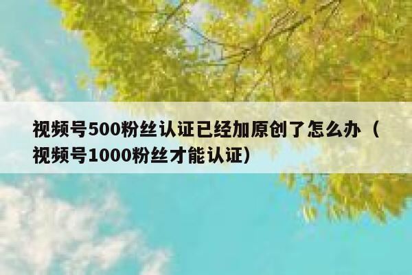 视频号500粉丝认证已经加原创了怎么办（视频号1000粉丝才能认证） 第1张