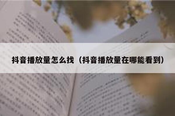 抖音播放量怎么找(抖音播放量在哪能看到) 第1张 抖音播放量怎么找(抖音播放量在哪能看到) 第1张