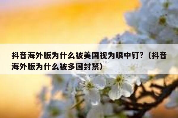 抖音海外版为什么被美国视为眼中钉?(抖音海外版为什么被多国封禁) 第1张 抖音海外版为什么被美国视为眼中钉?(抖音海外版为什么被多国封禁) 第1张