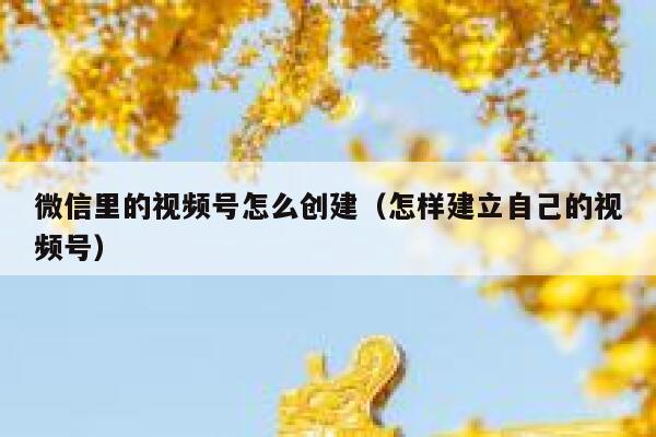 微信里的视频号怎么创建（怎样建立自己的视频号） 第1张