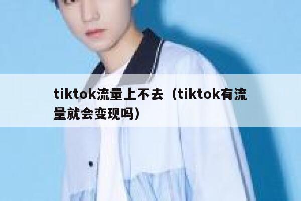 tiktok流量上不去（tiktok有流量就会变现吗） 第1张