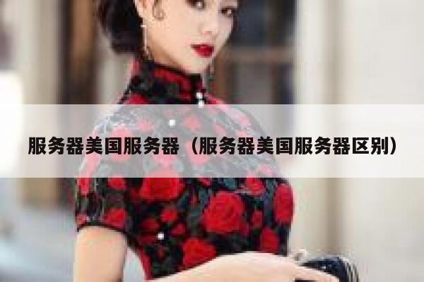 服务器美国服务器（服务器美国服务器区别） 第1张