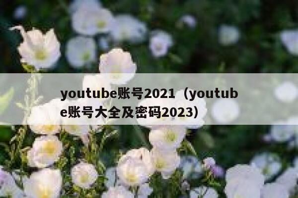 youtube账号2021(youtube账号大全及密码2023) 第1张 youtube账号2021(youtube账号大全及密码2023) 第1张
