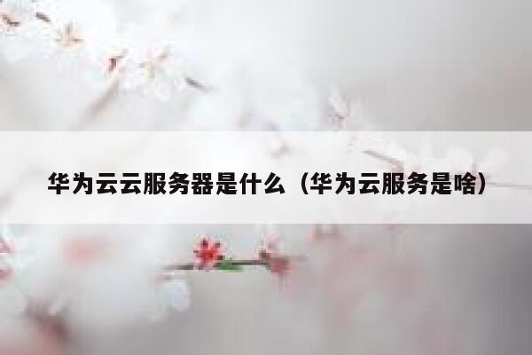 华为云云服务器是什么（华为云服务是啥） 第1张