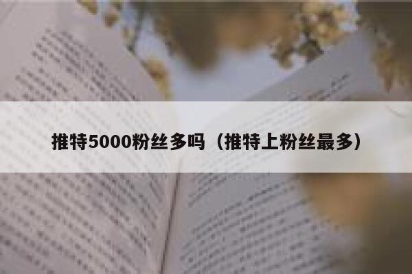 推特5000粉丝多吗（推特上粉丝最多） 第1张