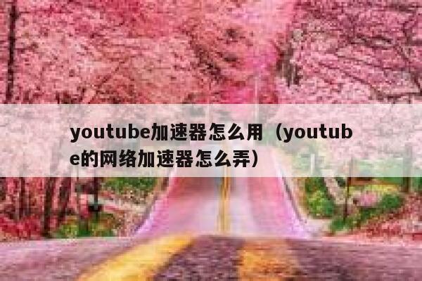 youtube加速器怎么用（youtube的网络加速器怎么弄） 第1张