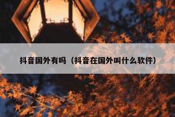 抖音国外有吗（抖音在国外叫什么软件） 第1张