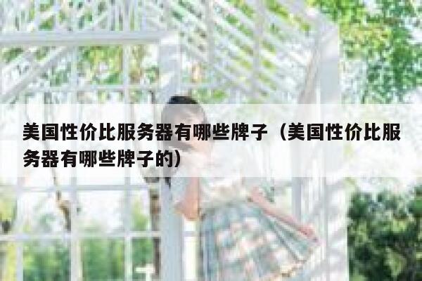 美国性价比服务器有哪些牌子（美国性价比服务器有哪些牌子的） 第1张