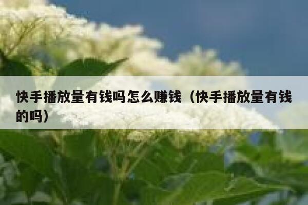 快手播放量有钱吗怎么赚钱（快手播放量有钱的吗） 第1张