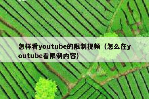 怎样看youtube的限制视频（怎么在youtube看限制内容） 第1张