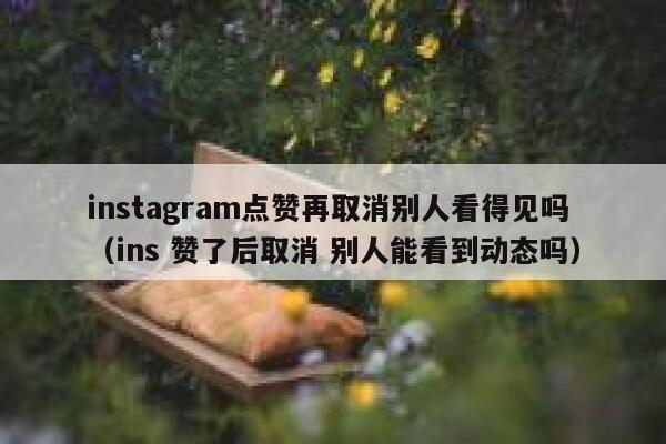 instagram点赞再取消别人看得见吗（ins 赞了后取消 别人能看到动态吗） 第1张