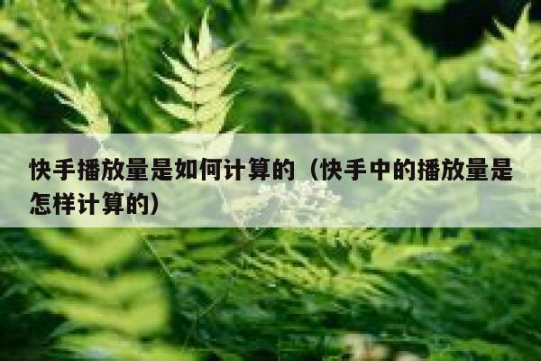 快手播放量是如何计算的（快手中的播放量是怎样计算的） 第1张