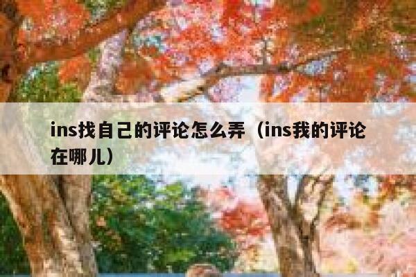 ins找自己的评论怎么弄（ins我的评论在哪儿） 第1张