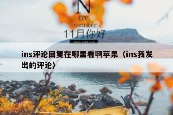 ins评论回复在哪里看啊苹果（ins我发出的评论） 第1张