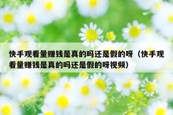 快手观看量赚钱是真的吗还是假的呀(快手观看量赚钱是真的吗还是假的呀视频) 第1张 快手观看量赚钱是真的吗还是假的呀(快手观看量赚钱是真的吗还是假的呀视频) 第1张