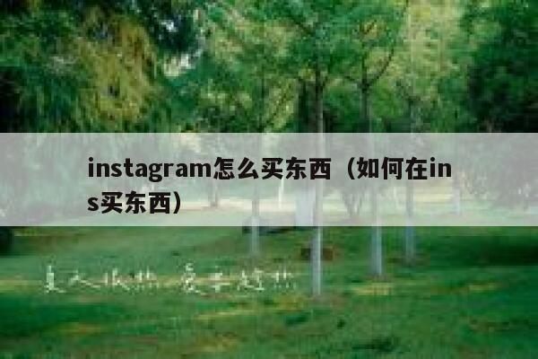 instagram怎么买东西（如何在ins买东西） 第1张