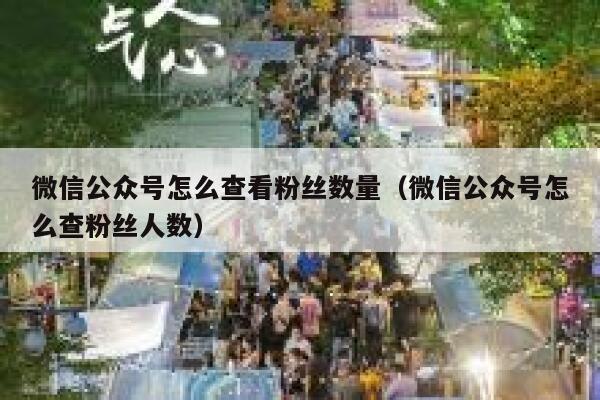 微信公众号怎么查看粉丝数量（微信公众号怎么查粉丝人数） 第1张