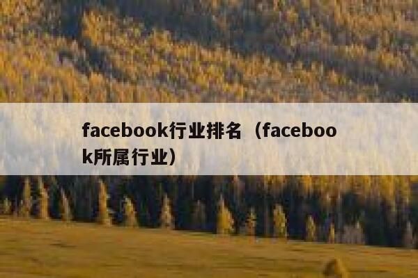 facebook行业排名（facebook所属行业） 第1张