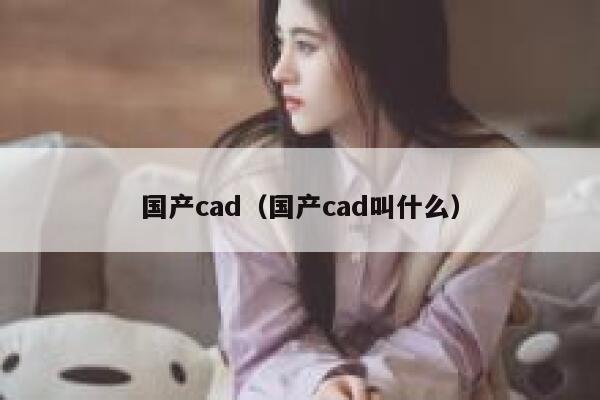 国产cad（国产cad叫什么） 第1张