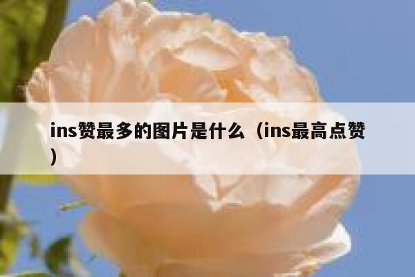 ins赞最多的图片是什么（ins最高点赞） 第1张