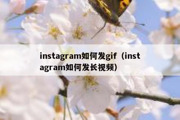 instagram如何发gif（instagram如何发长视频） 第1张