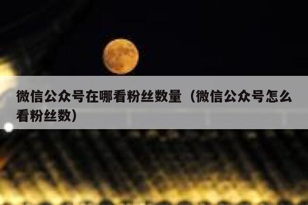 微信公众号在哪看粉丝数量（微信公众号怎么看粉丝数） 第1张