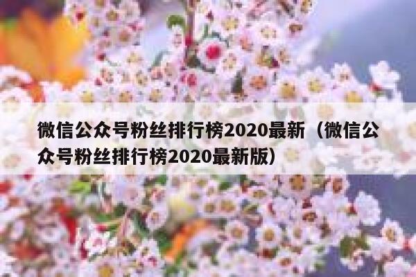 微信公众号粉丝排行榜2020最新（微信公众号粉丝排行榜2020最新版） 第1张