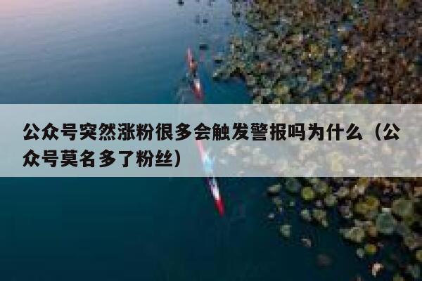 公众号突然涨粉很多会触发警报吗为什么（公众号莫名多了粉丝） 第1张