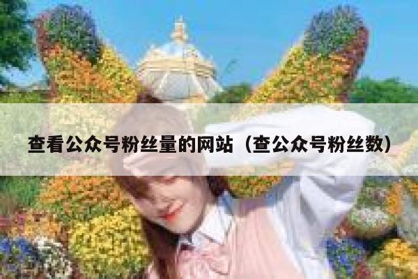 查看公众号粉丝量的网站（查公众号粉丝数） 第1张