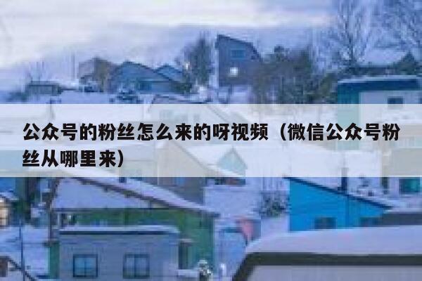 公众号的粉丝怎么来的呀视频（微信公众号粉丝从哪里来） 第1张