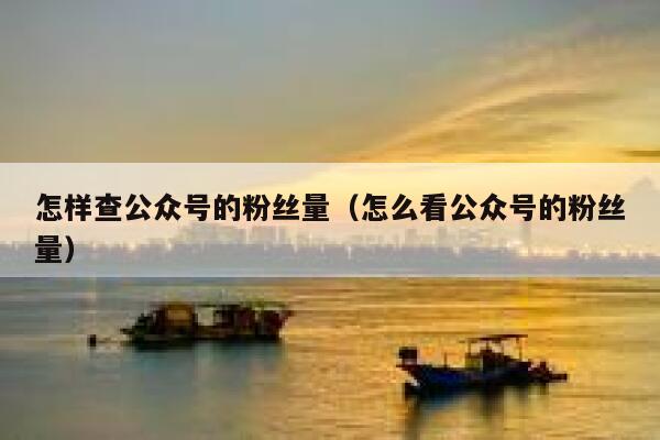 怎样查公众号的粉丝量(怎么看公众号的粉丝量) 第1张 怎样查公众号的粉丝量(怎么看公众号的粉丝量) 第1张