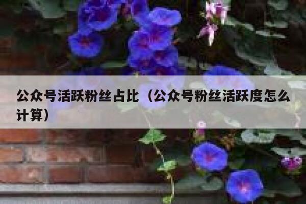 公众号活跃粉丝占比（公众号粉丝活跃度怎么计算） 第1张
