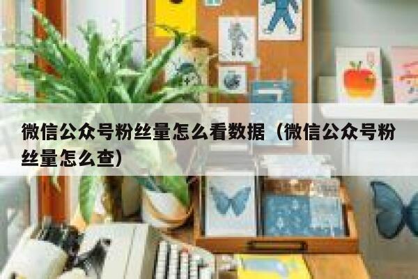微信公众号粉丝量怎么看数据（微信公众号粉丝量怎么查） 第1张