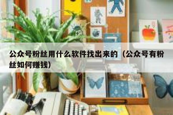 公众号粉丝用什么软件找出来的（公众号有粉丝如何赚钱） 第1张