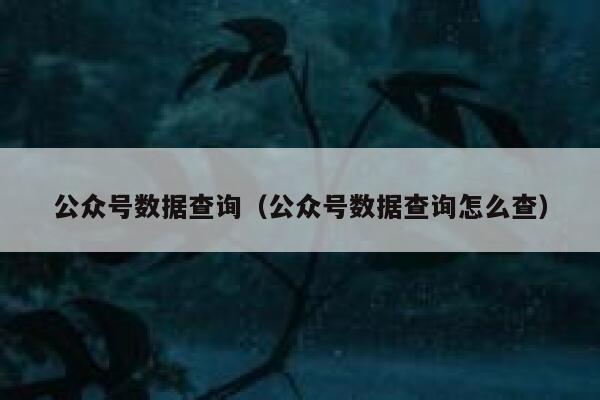 公众号数据查询（公众号数据查询怎么查） 第1张
