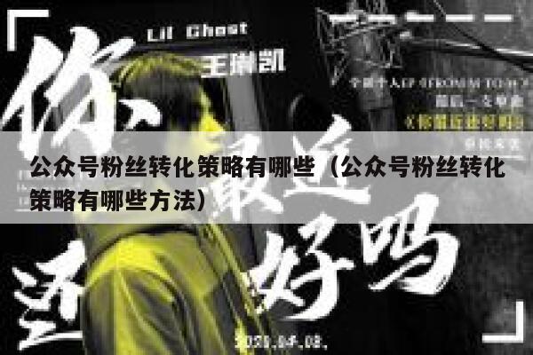 公众号粉丝转化策略有哪些（公众号粉丝转化策略有哪些方法） 第1张