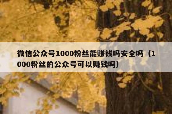 微信公众号1000粉丝能赚钱吗安全吗（1000粉丝的公众号可以赚钱吗） 第1张