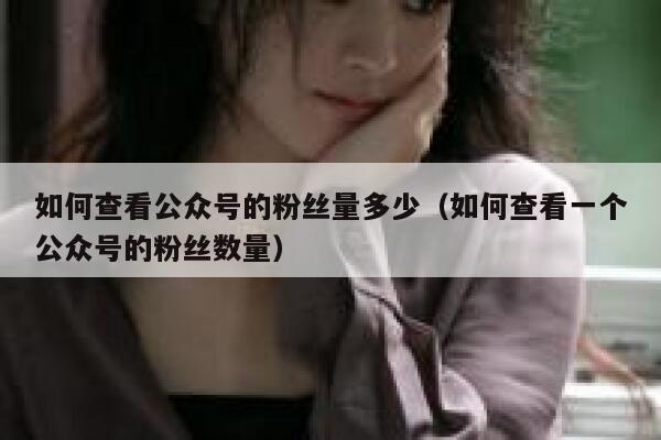 如何查看公众号的粉丝量多少（如何查看一个公众号的粉丝数量） 第1张