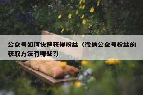 公众号如何快速获得粉丝（微信公众号粉丝的获取方法有哪些?） 第1张