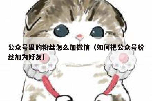 公众号里的粉丝怎么加微信（如何把公众号粉丝加为好友） 第1张