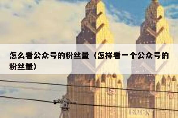 怎么看公众号的粉丝量（怎样看一个公众号的粉丝量） 第1张