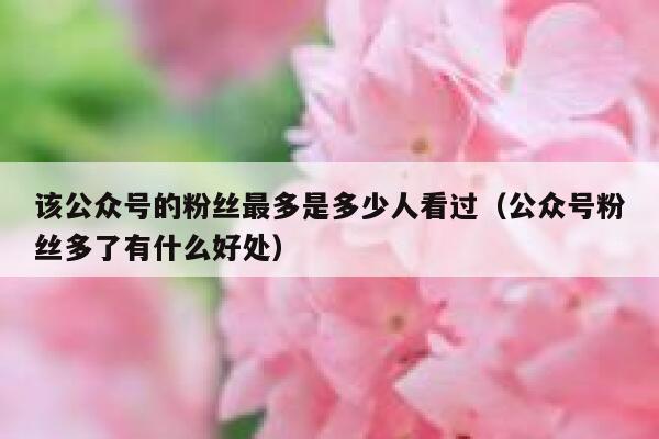 该公众号的粉丝最多是多少人看过（公众号粉丝多了有什么好处） 第1张