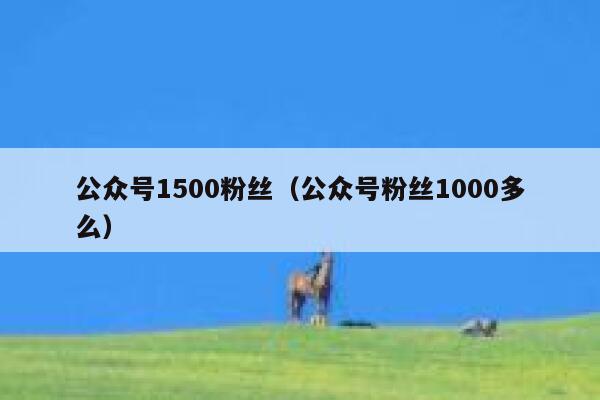 公众号1500粉丝（公众号粉丝1000多么） 第1张