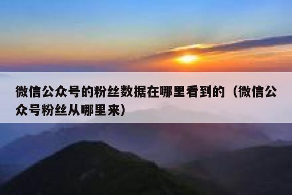 微信公众号的粉丝数据在哪里看到的（微信公众号粉丝从哪里来） 第1张