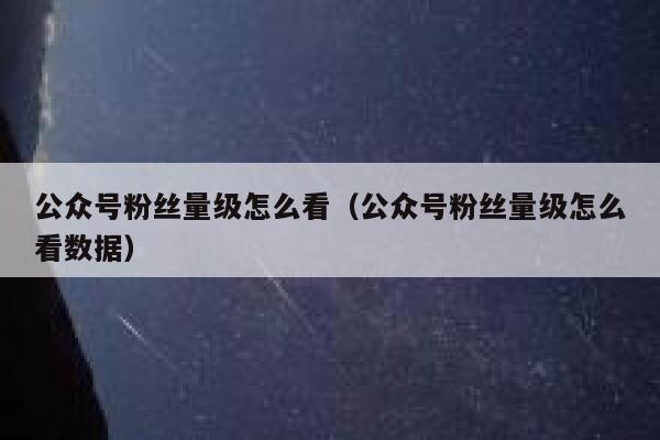 公众号粉丝量级怎么看（公众号粉丝量级怎么看数据） 第1张