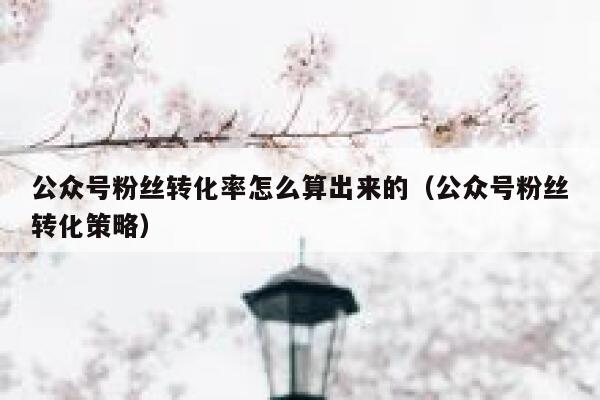 公众号粉丝转化率怎么算出来的（公众号粉丝转化策略） 第1张