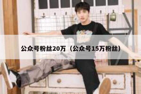 公众号粉丝20万（公众号15万粉丝） 第1张