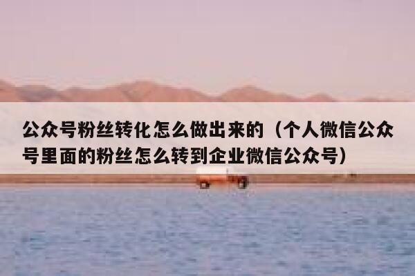 公众号粉丝转化怎么做出来的（个人微信公众号里面的粉丝怎么转到企业微信公众号） 第1张