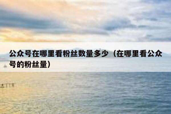 公众号在哪里看粉丝数量多少(在哪里看公众号的粉丝量) 第1张 公众号在哪里看粉丝数量多少(在哪里看公众号的粉丝量) 第1张