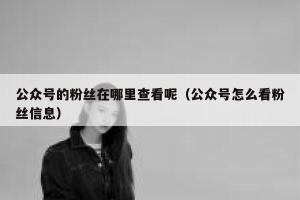 公众号的粉丝在哪里查看呢(公众号怎么看粉丝信息) 第1张 公众号的粉丝在哪里查看呢(公众号怎么看粉丝信息) 第1张